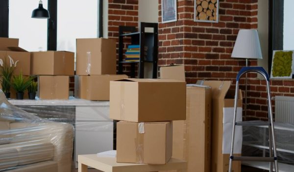 Profesyonel ofis taşımacılığı hizmeti